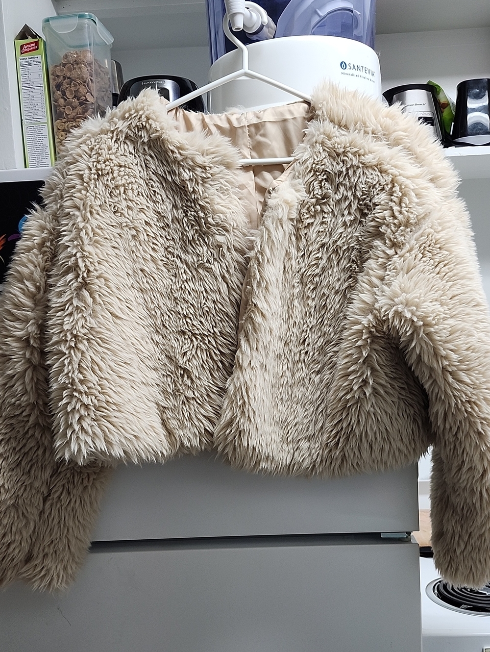 SHEIN Cropped Faux Fur Teddy Jacket in Beige